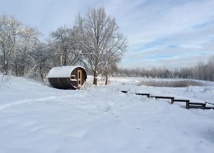 シャレー Kossa Taro Luhamaa